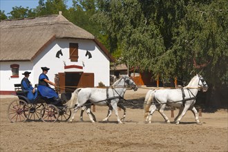 Two Csikos in a horse-drawn carriage