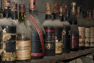 Old wine bottles and liquor bottles with dust layer