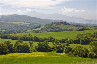 Hilly landscape of the Crete Senesi