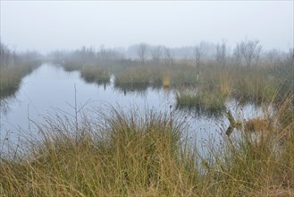 High moor in autumn