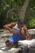 Fisherman gutting a large fish