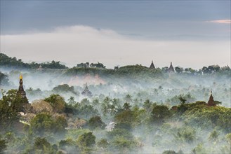 Pagodas and temples surrounded by trees