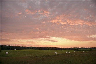 Hay bales on a mown meadow in the evening