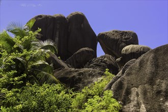 Typical rock formations in the Seychelles