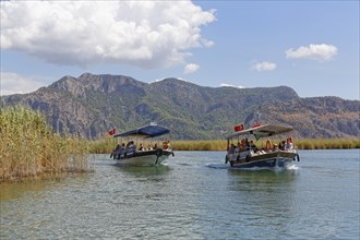 Excursion boats in the Dalyan Delta