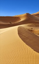 Sahara sand dunes of erg Chebbi