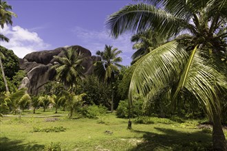 Landscape with typical rock formations in the Seychelles