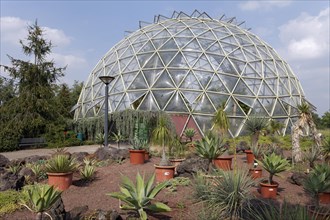 Dome greenhouse