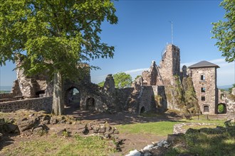 Burg Hohenstein castle ruins