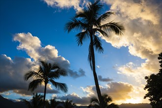 Sunset in Hanalei Bay