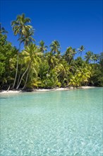 Lagoon with a sandy beach and palm trees