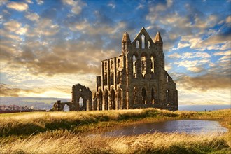 Gothic Whitby Abbey at sunset