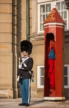 Royal Life Guard