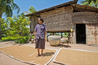 Cambodian farmer standing on the rice that is drying in the sun