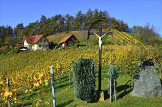 Wayside shrine in the vineyards