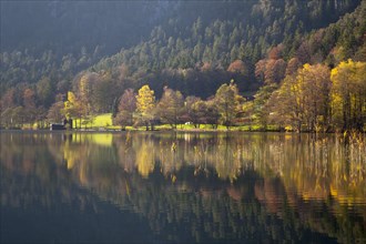 Autumn landscape at Thumsee Lake