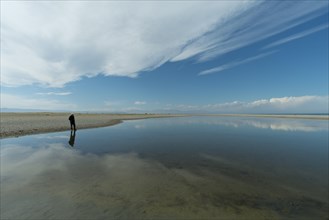 On the south bank of the Uvs Nuur salt lake