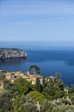 Houses by the sea