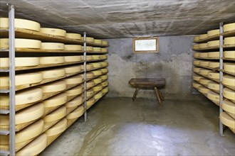 Maturation cellar for Alpine cheese