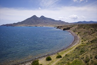 Coastal landscape