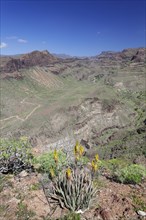 View from the Mirador de Fataga of Mt Barranco de Fataga