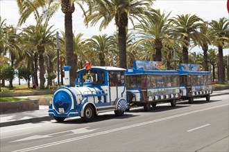 Tourist train in front of palm trees