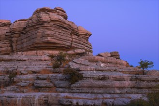 Limestone rocks