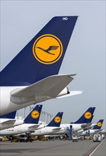 Aircrafts of the Deutsche Lufthansa AG on their parking positions in Terminal 2
