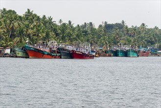 Typical landscape with palm trees and fishing boats