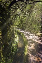 Levada das 25 Fontes