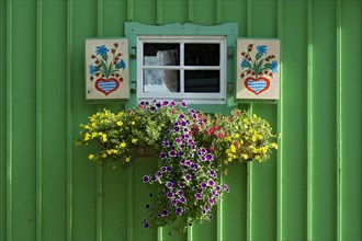Window with painted shutters and flower box on green wooden hut