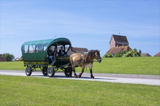Horse and cart to transport tourists