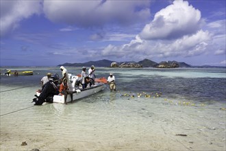 Fishermen loading their freshly caught fish on the beach