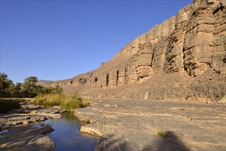 Water in a guelta at Iherir Canyon