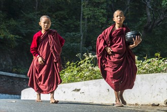 Young Buddhist novices with begging bowls collecting alms in the morning