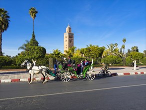 Horse-drawn carriage in front of the Koutoubia Mosque