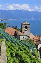 View over the wine-producing village and Lake Geneva towards Lausanne