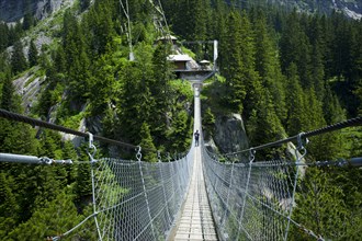 Suspension bridge