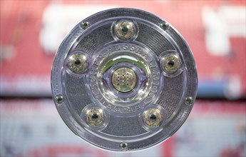 Bundesliga Champion Cup