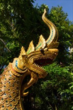 Gilded Naga figure at the entrance of Wat Phra Kaeo