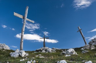 Three simple wooden crosses from World War I on a hill