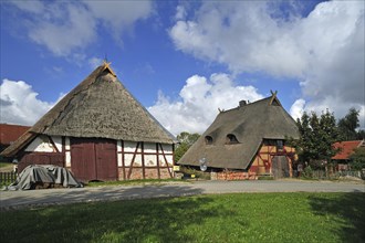 Old thatched farmhouses in a village square