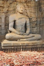 Buddha in lotus position