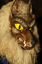 Carnival-goer with a wolf mask