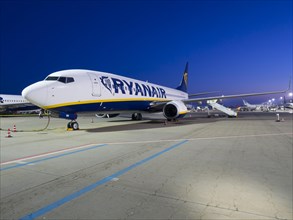 Boeing 737 airliner of the budget airline Ryanair on the runway