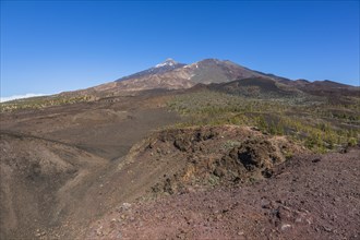 View of Mount Teide