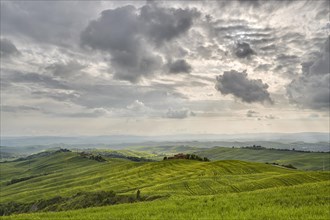 Hilly landscape of the Crete Senesi