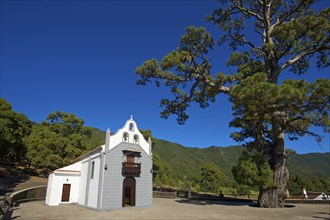 Eremita Virgel del Pino pilgrimage church
