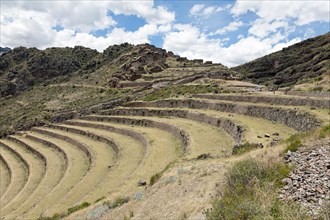 Inca terraces and Pisac Ruins