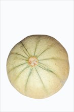 Cantaloupe or Honeydew Melon (Cucumis melo)
